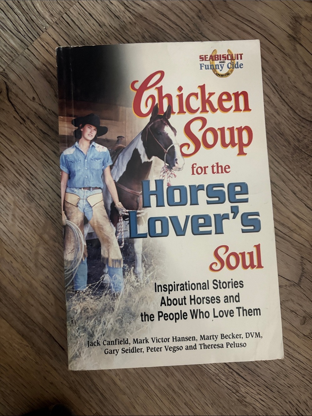 Chicken Soup for the Horse Lover's Soul - Inspirational Stories